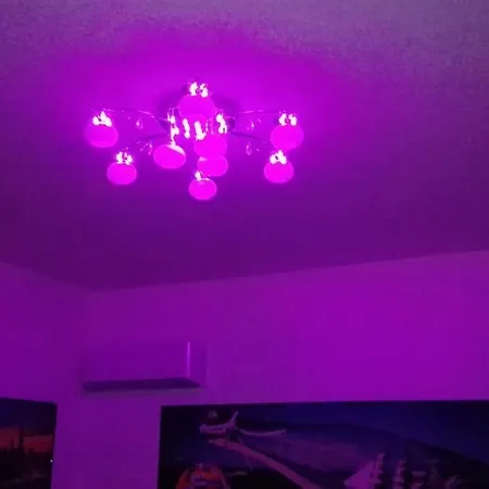 Apartment Silence *